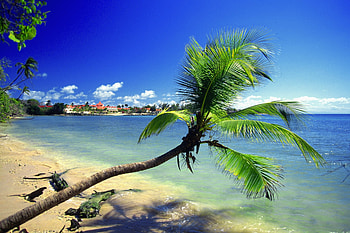 Trinidad and Tobago, Data center hotel, Caribbean IXPs, Digital infrastructure HD wallpaper
