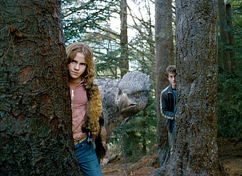 Buckbeak HD wallpaper