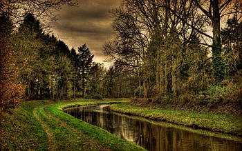 Landscape, Rivers, Trees HD wallpaper