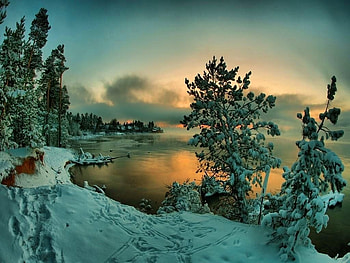 Winter Sunset, Winter, Sunset, Snow, Trees, Night HD wallpaper