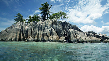 Island beauty, Seychelles , Palm trees, Rocky island charm HD wallpaper