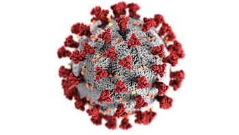 Detailed 3D representation of the coronavirus structure highlighting spike proteins. HD wallpaper