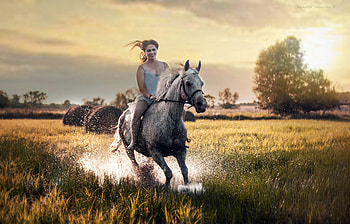 Happy Girl Riding Horse, girls, horse, field HD wallpaper