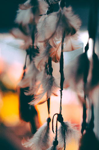 Feather, Macro, Blur, Smooth, Suspension HD phone wallpaper