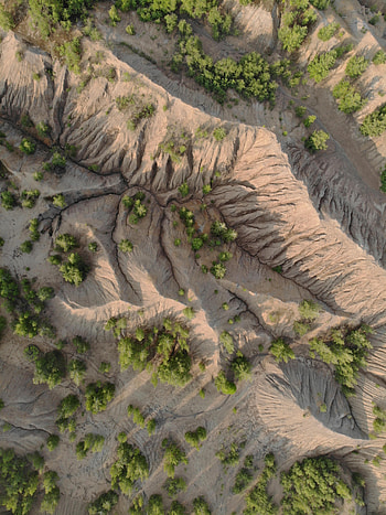 Nature, Trees, Mountains, View From Above, Relief HD phone wallpaper