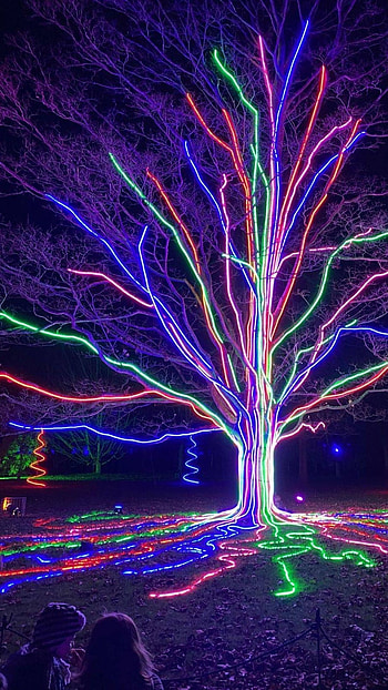 Christmas Lightings, Colourfull Lightings HD phone wallpaper