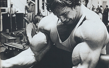 Arnold Schwarzenegger, Strong arms, , Fitness icon HD wallpaper