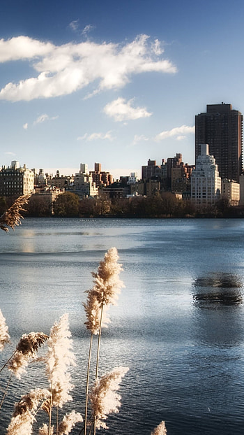 Boston skyline, East Coast charm, Architectural marvels, City symphony HD phone wallpaper