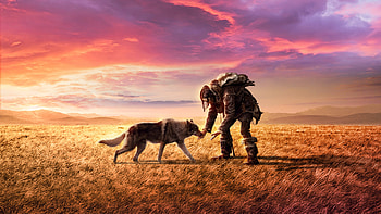 Alpha (Movie) — Dawn of the Pack, Alpha HD wallpaper