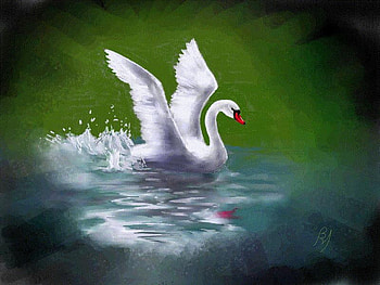 Soft Landing, swal, abstract, painting, splash, other, water HD wallpaper