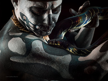 Wild, snake, animal, white, black, man, juan carlos osorio, indian, native, green, reptile HD wallpaper