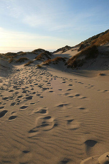 Nature, Grass, Sand, Hill, Traces, Dunes HD phone wallpaper