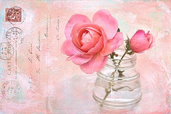 Rose Palette, post card, rose, roses, palette HD wallpaper