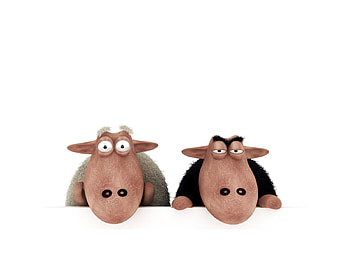 Peering Sheepz, looking, white, black, 3d, sheep, questioning, wall, peering HD wallpaper