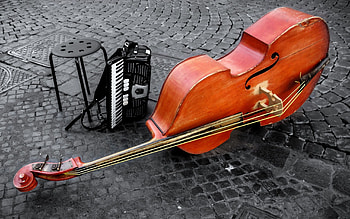 Double bass , Top backgrounds, Bassist's delight, Visual inspiration HD wallpaper