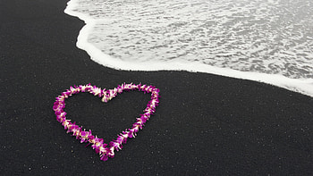 Love Heart, love, heart HD wallpaper
