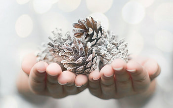 For you!, winter, white, craciun, christmas, pine cone, hand HD wallpaper