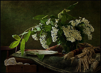 still life, art , table, white, beautiful, wild, glass vase, green, blanket, flowers HD wallpaper