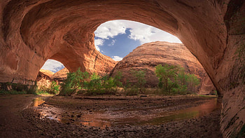 Coyote Gulch, Utah, plants, clouds, cace, sky, rocks, usa HD wallpaper