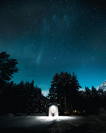 Nature, Night, Building, Silhouette, Forest, Flash HD phone wallpaper