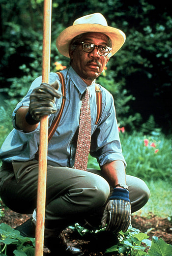 Driving Miss Daisy, Morgan man, Fanpop , Iconic film HD phone wallpaper