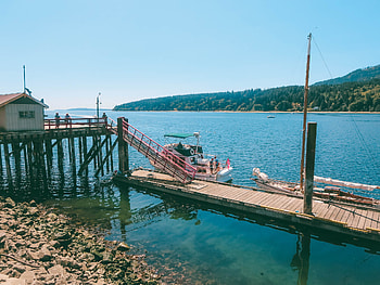 Salt Spring Island, Canada travels, Lavender farm, Beautiful visit HD wallpaper