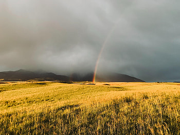 Nature, Grass, Rainbow, Fog, Field HD wallpaper