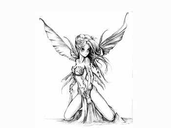 Faerie Sketch, fairy, faerie, cute, black and white HD wallpaper