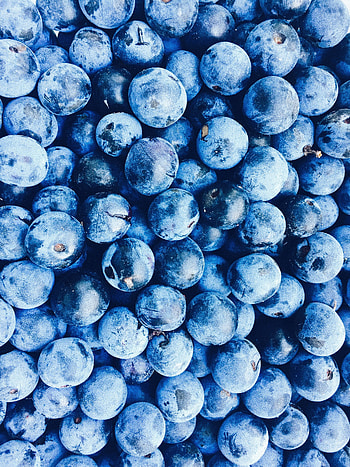Food, Bilberries, Berries, Ripe HD phone wallpaper