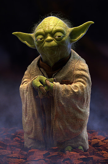 Master Yoda, Chris Meyers, Master Yoda, Jedi Master HD phone wallpaper