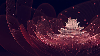 Dark maroon flowery abstract HD wallpaper