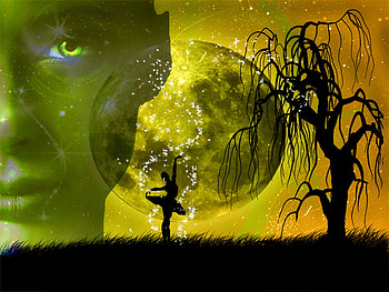 Midnight Mesmerize, face, moon, woman, tree HD wallpaper