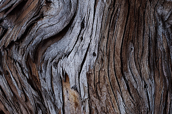 Wood, Tree, Texture, Textures, Cracks, Crack, Bark HD wallpaper