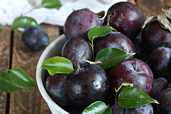 Plum , Background HD wallpaper