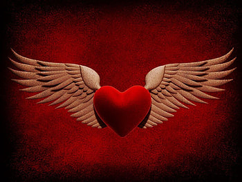 Heart, wings, abstract, 3d HD wallpaper