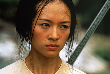 Crouching Tiger, Hidden Dragon, Martial arts action, Warrior sword, Katana HD wallpaper