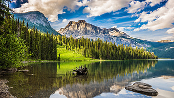 Emerald Lake, Banff National Park HD wallpaper