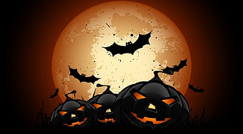 Happy Halloween, halloween, pumpkins, halloween bats, fantasy, bats HD wallpaper