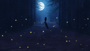 Moonlight, blue, night, saptarshi majumdar, wolf, dark, firefly, fantasy, moon, luna, luminos, lup, forest, silhouette HD wallpaper