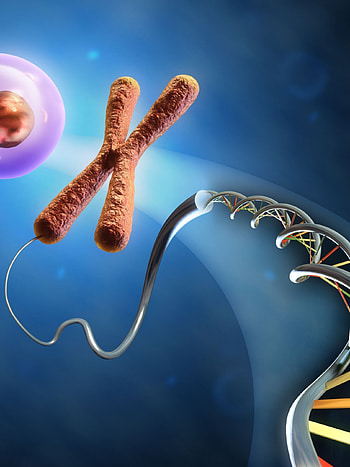 Biology wonders, , High-resolution graphics, Beautiful backgrounds HD phone wallpaper