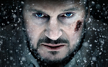The Grey 2012, the-grey, movies HD wallpaper
