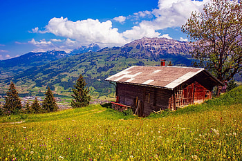 Living in the mountains, wooden, live, house, slope, peaceful, grass, beautiful, cabin, mountain, summer, life, hut, view, cottage, sky, village HD wallpaper