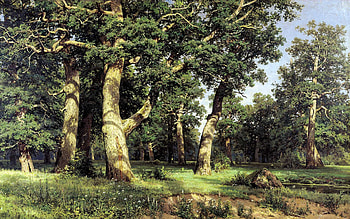 Nature, Trees, Art, Forest, Painting, Outskirts, Edge, Reproduction, Shishkin HD wallpaper