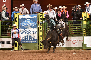 NIRA, National Intercollegiate Rodeo Association, College rodeo, Sport celebration HD wallpaper