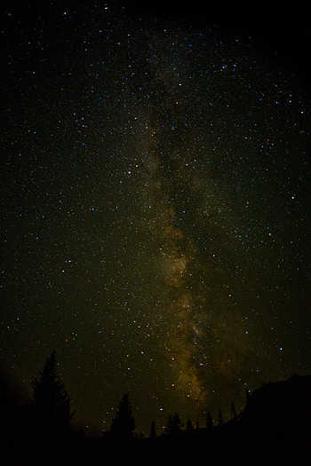 Nature, Trees, Universe, Starry Sky HD phone wallpaper
