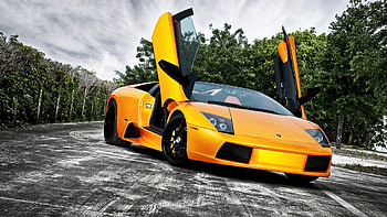 yellow lamborghini r, doors, yellow, car, street, trees, r HD wallpaper