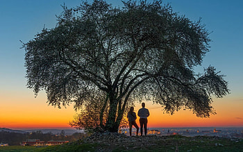 Sunset over Krakow, Poland, Krakow, Poland, sunset, tree, couple HD wallpaper