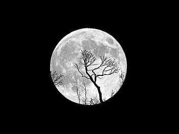 Moon, black-and-white, , inspirational HD wallpaper