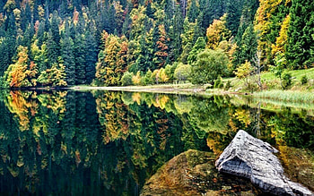 lakeside in autumn, trees, outdoors, nature, lake HD wallpaper