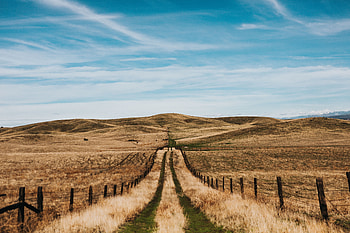 Landscape, Nature, Fields, Road, Hills, Fence HD wallpaper